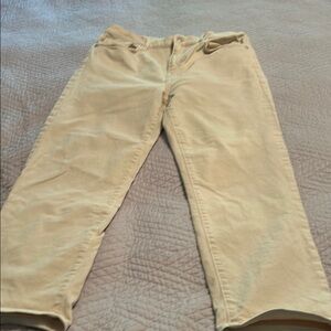LOFT Light Tan Trousers